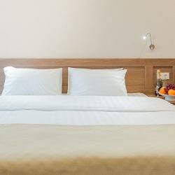 Гостиница Платов Новочеркасск-221