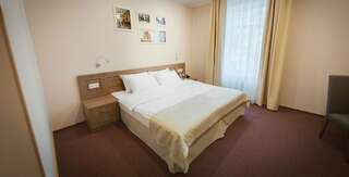 Гостиница Платов Новочеркасск Стандартный двухместный номер с 1 кроватью-1